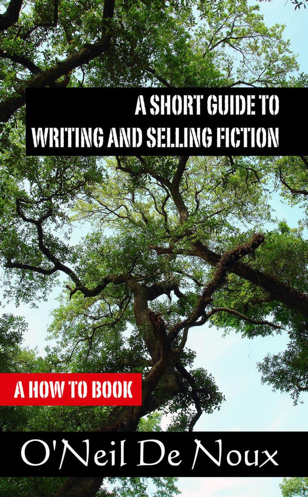 Big bigCover of A Short Guide to Writing and Selling Fiction