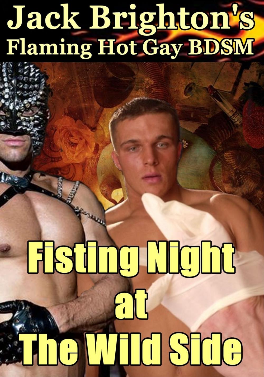 Big bigCover of Fisting Night at The Wild Side