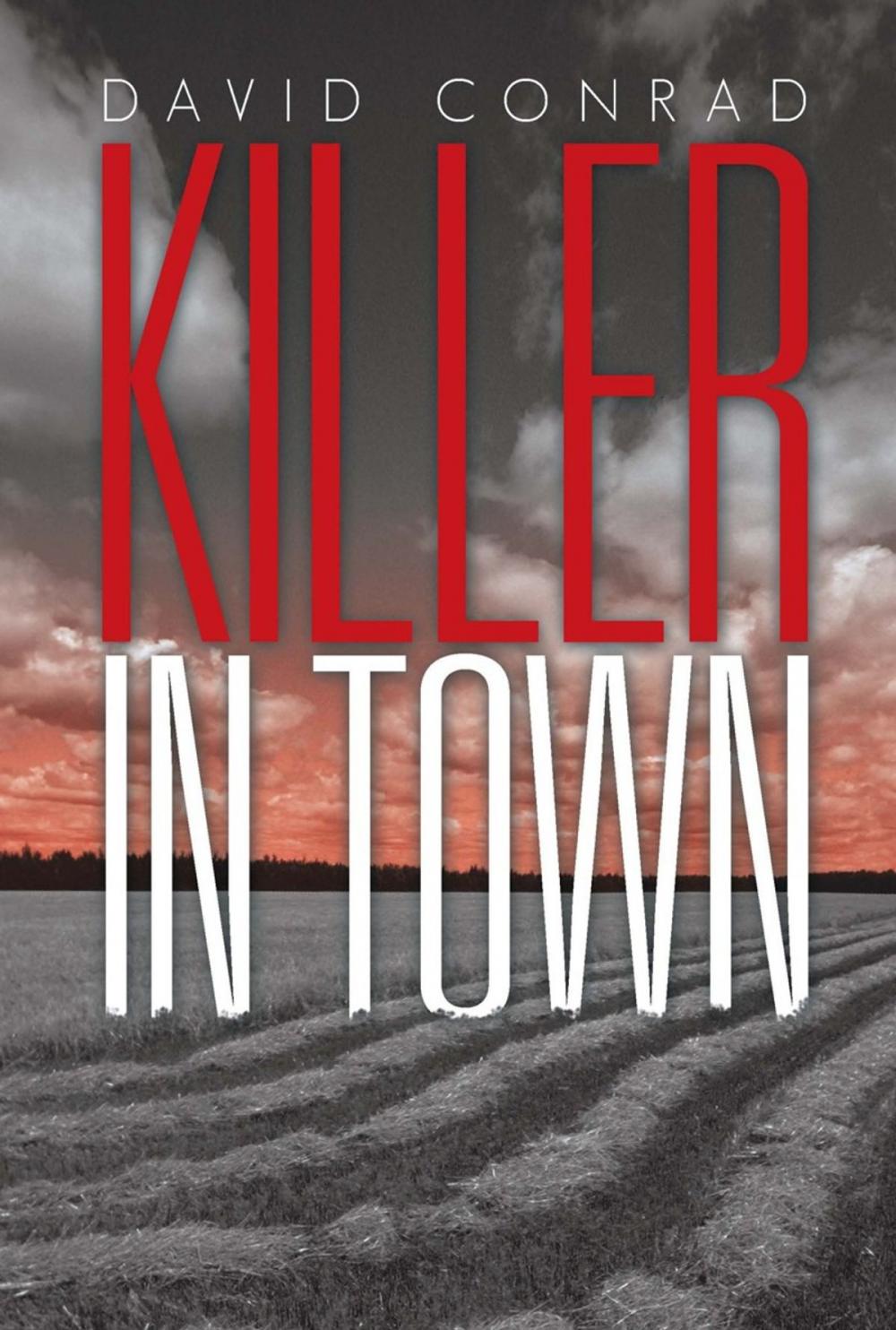 Big bigCover of Killer in Town