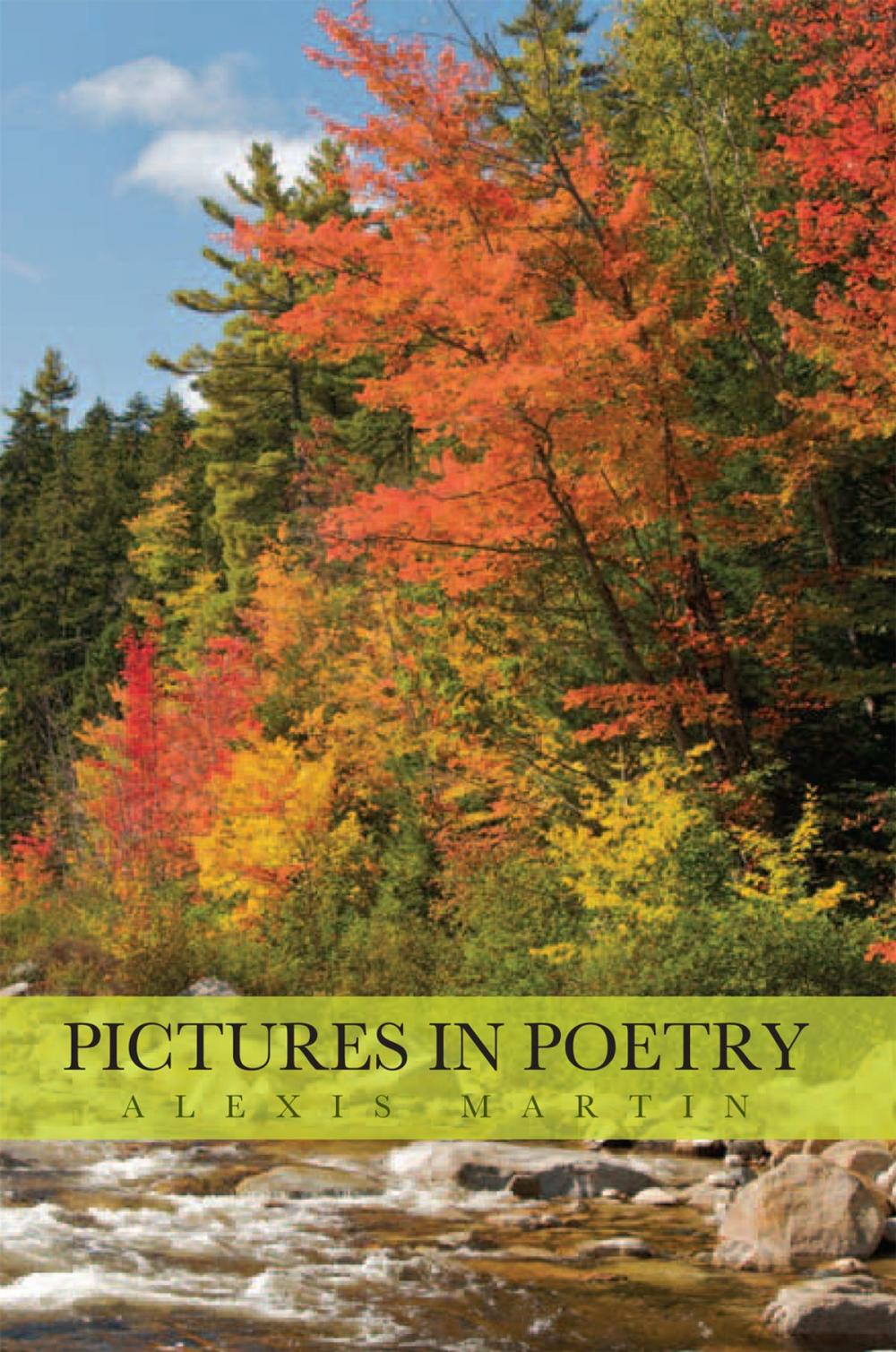 Big bigCover of Pictures in Poetry