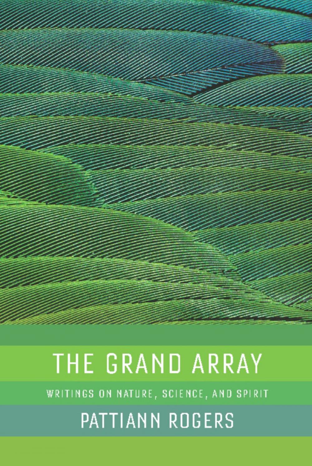 Big bigCover of The Grand Array