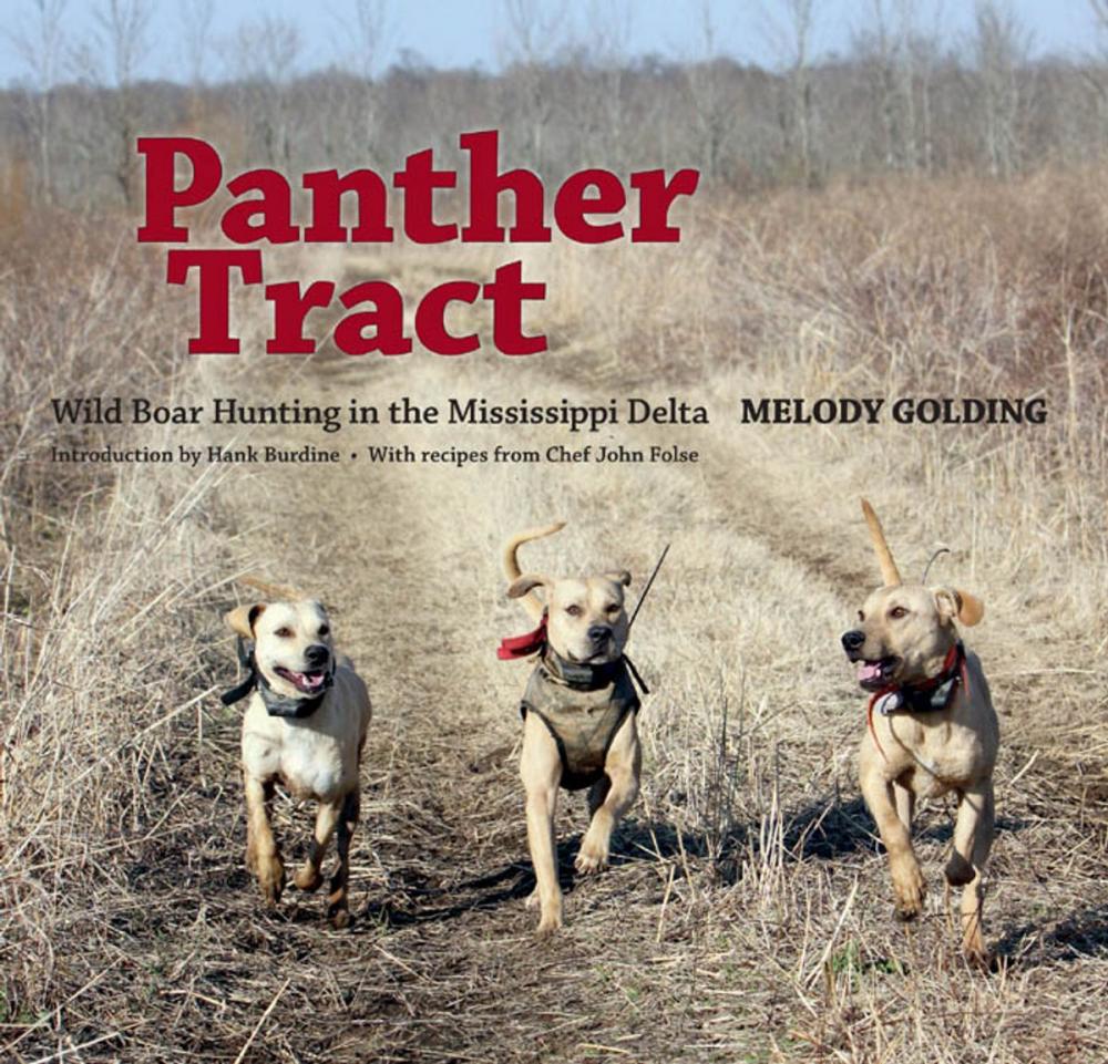 Big bigCover of Panther Tract