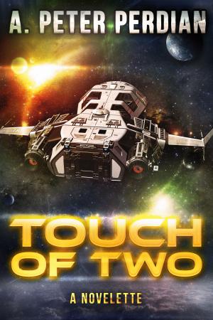 Cover of the book Touch Of Two by D.W. Patterson