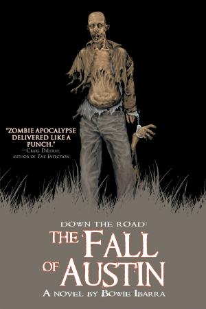 Cover of the book Down the Road: The Fall of Austin by Emily Goodwin