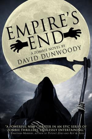 Cover of the book Empire's End by Neil A. Cohen