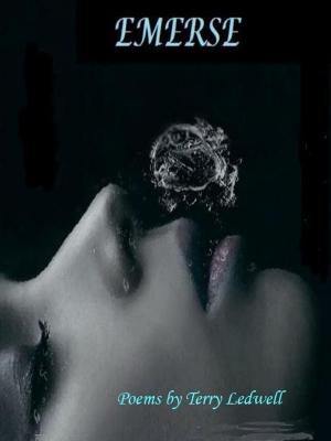 Cover of the book Emerse by Maria Loman