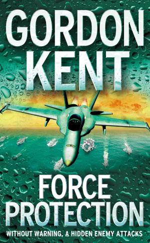 Cover of the book Force Protection by Rachel Allen