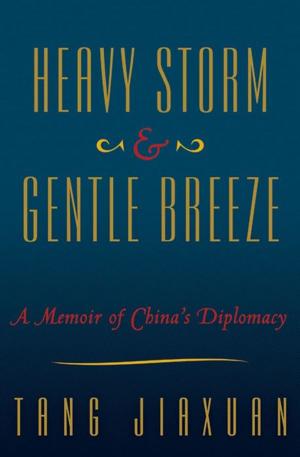Book cover of Heavy Storm and Gentle Breeze