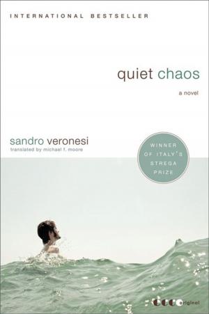 Book cover of Quiet Chaos