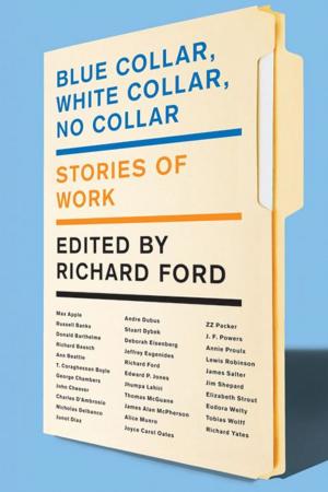 Cover of the book Blue Collar, White Collar, No Collar by Todd Johnson