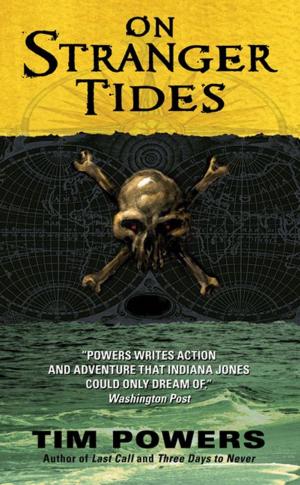 Cover of the book On Stranger Tides by Terry Pratchett, Stephen Briggs