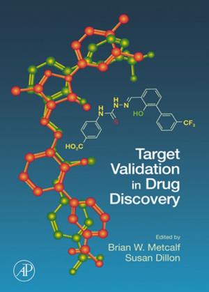 Cover of the book Target Validation in Drug Discovery by Brian H. Ross