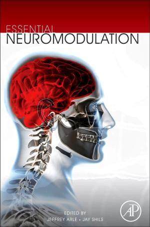 Cover of the book Essential Neuromodulation by Stanislaw Sieniutycz, Jacek Jezowski