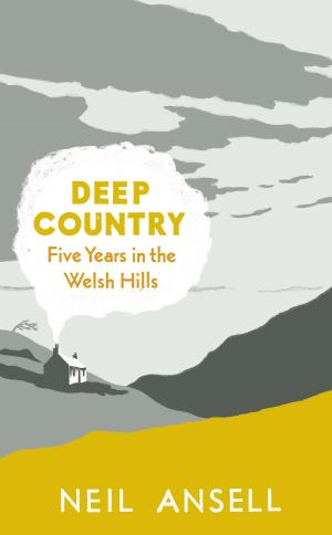 Cover of the book Deep Country by James Boswell