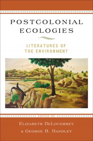 Cover of the book Postcolonial Ecologies by Edward E. Cohen