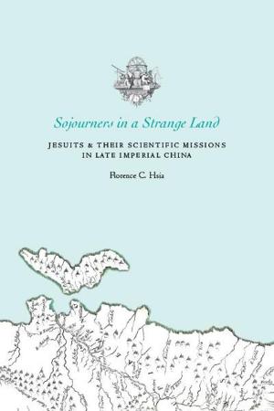Cover of the book Sojourners in a Strange Land by David Rapp
