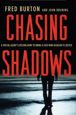 Cover of the book Chasing Shadows by Annie Garrett