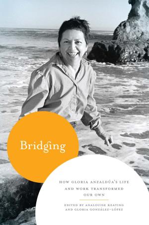 Cover of the book Bridging by Ibrahim al-Koni