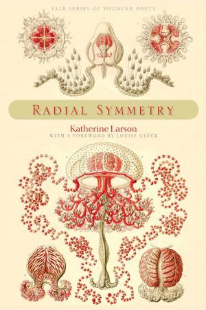 Cover of the book Radial Symmetry by Timothy Snyder