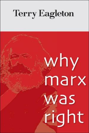 Cover of the book Why Marx Was Right by Kathleen Day