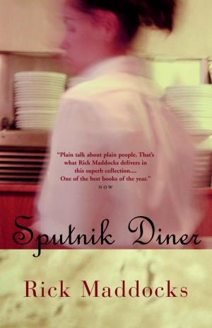 Cover of the book Sputnik Diner by Julie Keith
