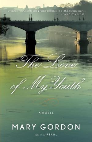 Cover of the book The Love of My Youth by Susan Sizemore