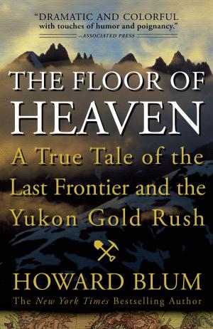 Book cover of The Floor of Heaven