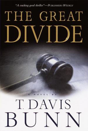 bigCover of the book The Great Divide by 