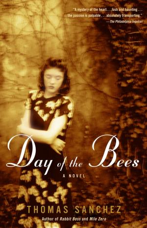 Cover of the book Day of the Bees by Javier Marías