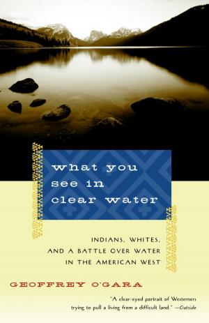 Cover of the book What You See in Clear Water by George Robinson