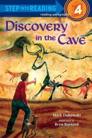 Cover of the book Discovery in the Cave by Phyllis Reynolds Naylor