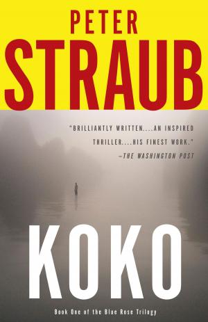 Cover of the book Koko by Redmond O'Hanlon
