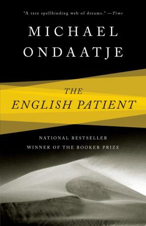 Book cover of The English Patient
