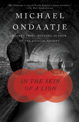 Cover of the book In the Skin of a Lion by A. S. Byatt