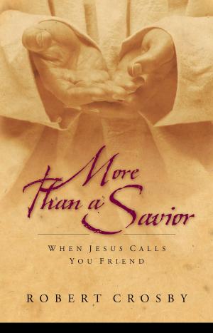 Cover of the book More than a Savior by Steven Furtick