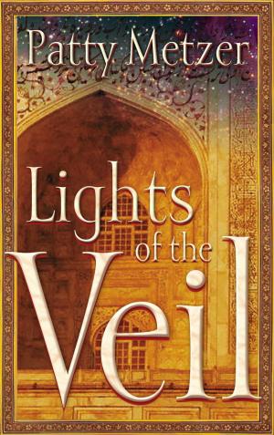 Cover of the book Lights of the Veil by Chuck Black