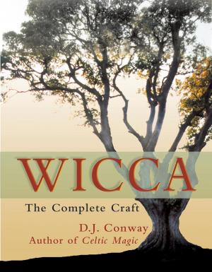 Cover of the book Wicca by Stanislaw Kapuscinski (aka Stan I.S. Law)