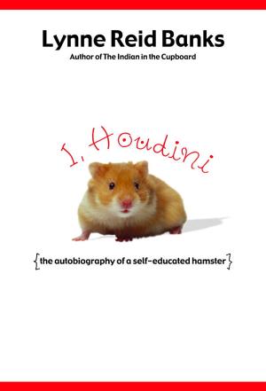 Cover of the book I, Houdini by Evory Salieri