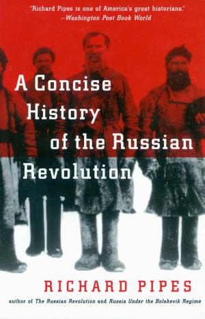 Cover of the book A Concise History of the Russian Revolution by 