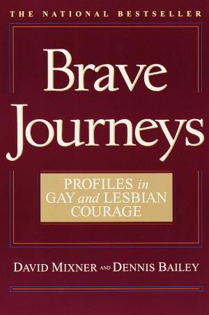 Book cover of Brave Journeys