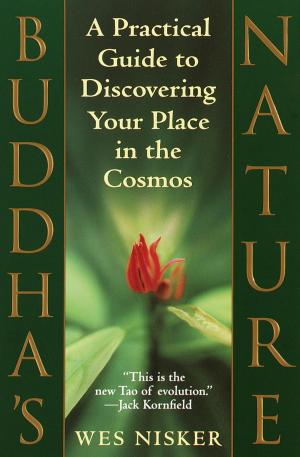 Cover of the book Buddha's Nature by Tami Hoag