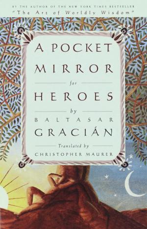 Cover of the book A Pocket Mirror for Heroes by Ted Dekker, Carl Medearis