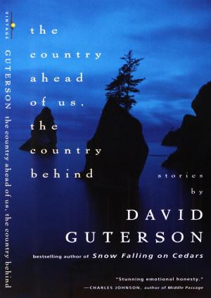 Cover of the book The Country Ahead of Us, The Country Behind by John Pipkin