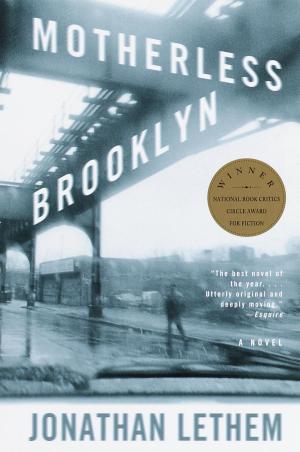 Cover of the book Motherless Brooklyn by M.T. Bass