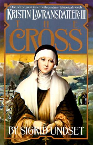 Cover of the book The Cross by Daniel Kehlmann