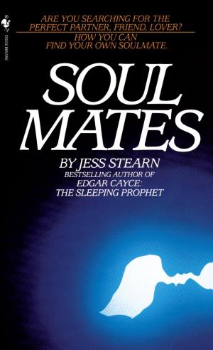Book cover of Soulmates