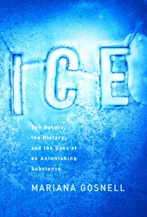 Cover of the book Ice by F. Scott Fitzgerald