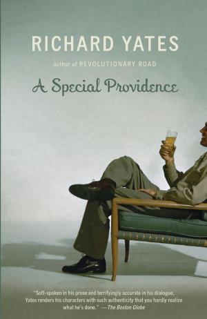 Cover of the book A Special Providence by Michael Ondaatje