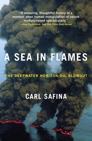 Cover of the book A Sea in Flames by Massimiliano Rimaboschi