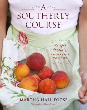Cover of the book A Southerly Course by Brianag Boyd